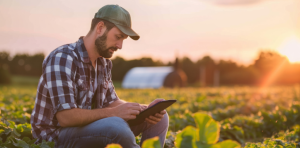 NF-e para produtor rural